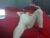 ♀️♂️ fox_hev Free Cam @ Chaturbate