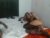 ♀️ freaky_kandy Free Cam @ Chaturbate