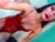 ⚧️ freaky_mariah Free Cam @ Chaturbate
