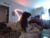 ♀️♂️ freakyspun101 Free Cam @ Chaturbate