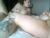 ♀️♂️ fuckyeah040520 Free Cam @ Chaturbate