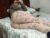 ♀️ gabibrasil Free Cam @ Chaturbate