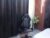 ♂️ gael_smith___ Free Cam @ Chaturbate