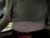 ♀️♂️ gardeniris Free Cam @ Chaturbate
