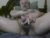 ♂️ georgiagooner Free Cam @ Chaturbate