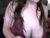 ♀️ ghostgurl13 Free Cam @ Chaturbate