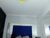 ⚧️ grace_evansx Free Cam @ Chaturbate
