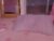 ♀️ grachi_ela Free Cam @ Chaturbate