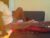 ♀️ grannylover_ Free Cam @ Chaturbate