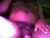 ♂️ grifterbixby Free Cam @ Chaturbate