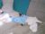 ♂️ grosserschwanz20cm Free Cam @ Chaturbate
