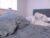 ♀️ hairy_shizo Free Cam @ Chaturbate