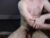 ♂️ hairytwinkguy Free Cam @ Chaturbate