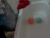 ♀️♂️ haleylane42069 Free Cam @ Chaturbate