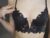 ♀️ hanofhearts Free Cam @ Chaturbate