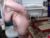 ♀️ hardanaldp Free Cam @ Chaturbate