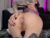 ♀️ harliequinnx Free Cam @ Chaturbate