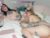 ⚧️ hayleyhazelxo Free Cam @ Chaturbate