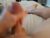 ♂️ holylobes Free Cam @ Chaturbate