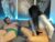 ♀️♂️ hot_pussy_world Free Cam @ Chaturbate