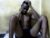 ♂️ hotcum2244 Free Cam @ Chaturbate