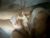 ♀️♂️ hotfuckcouple26 Free Cam @ Chaturbate