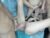 ♀️♂️ hotthingirl Free Cam @ Chaturbate