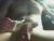 ♂️ hugesubpenis Free Cam @ Chaturbate