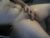 ♂️ imjustsomejerk Free Cam @ Chaturbate
