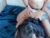 ♀️♂️ iris_and_ian Free Cam @ Chaturbate