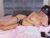 ♀️ iris_nightingale Free Cam @ Chaturbate
