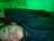 ♂️ isiah810 Free Cam @ Chaturbate