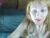 ♀️ ivi_kiwi Free Cam @ Chaturbate