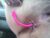 ♀️ iwazsoaking1 Free Cam @ Chaturbate