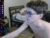 ♂️ jack0kinky Free Cam @ Chaturbate