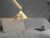♂️ jackson_wayne__ Free Cam @ Chaturbate