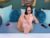 ♀️ jaqulinnehot Free Cam @ Chaturbate