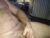 ♂️ jdcfnm Free Cam @ Chaturbate