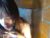 ♀️ jennifersmith_ Free Cam @ Chaturbate