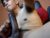 ♂️ jettdread Free Cam @ Chaturbate