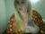 ♀️ jewles008 Free Cam @ Chaturbate