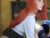 ♀️ joannefrommississippi Free Cam @ Chaturbate