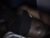 ♂️ _joe2022 Free Cam @ Chaturbate