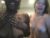♀️ josieswildxxx Free Cam @ Chaturbate