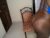 ♀️ josyjee Free Cam @ Chaturbate