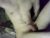 ♂️ justman12 Free Cam @ Chaturbate