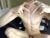 ♂️ k1tty_b0y Free Cam @ Chaturbate