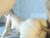 ♀️♂️ kaiwanlux Free Cam @ Chaturbate