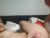 ♀️♂️ kalina_topaz Free Cam @ Chaturbate