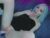 ♀️ kasatka969 Free Cam @ Chaturbate
